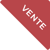 sale_badge_FR