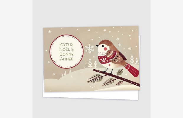 Merry Christmas - Bird