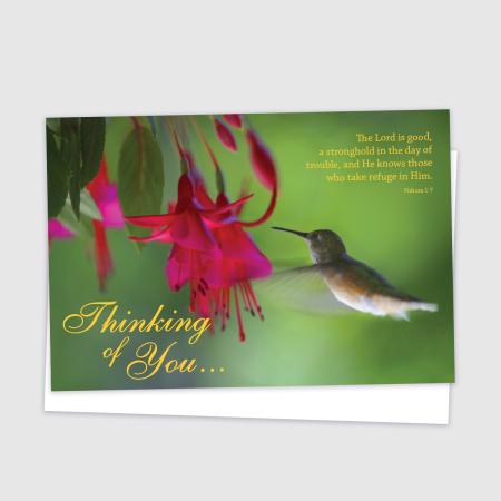 Thinking of You Hummingbird