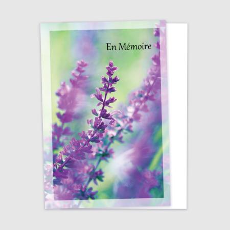 Memory - Lavender